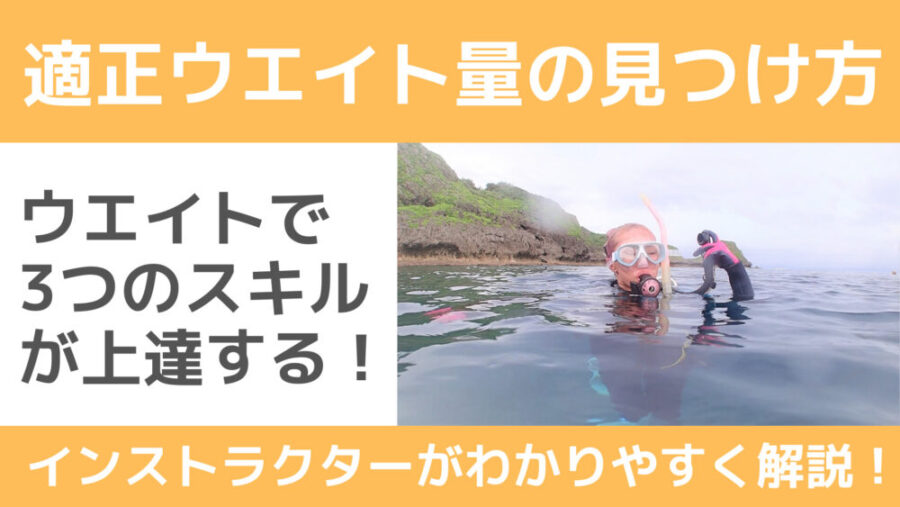 ダイビングウエイト 3ポンド✖️2個 合計重量約2.7キロ 青白